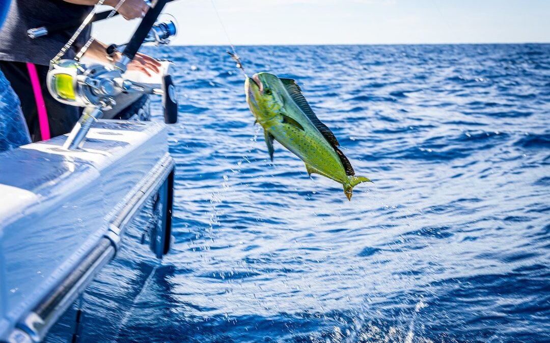 The Best Central Florida Fishing Spots for Those In The Know